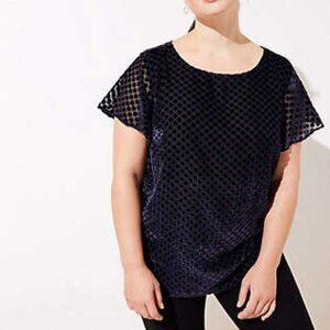 Loft size 20 navy velvet dot top
